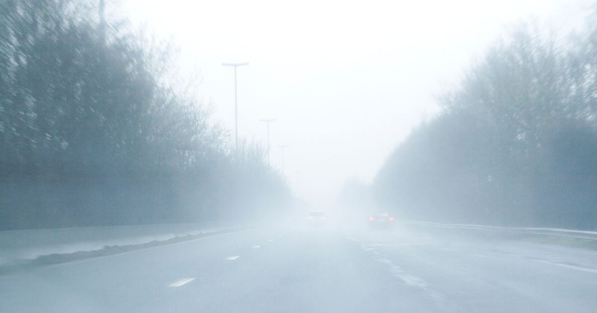 You are currently viewing How to Drive Safely in Fog?